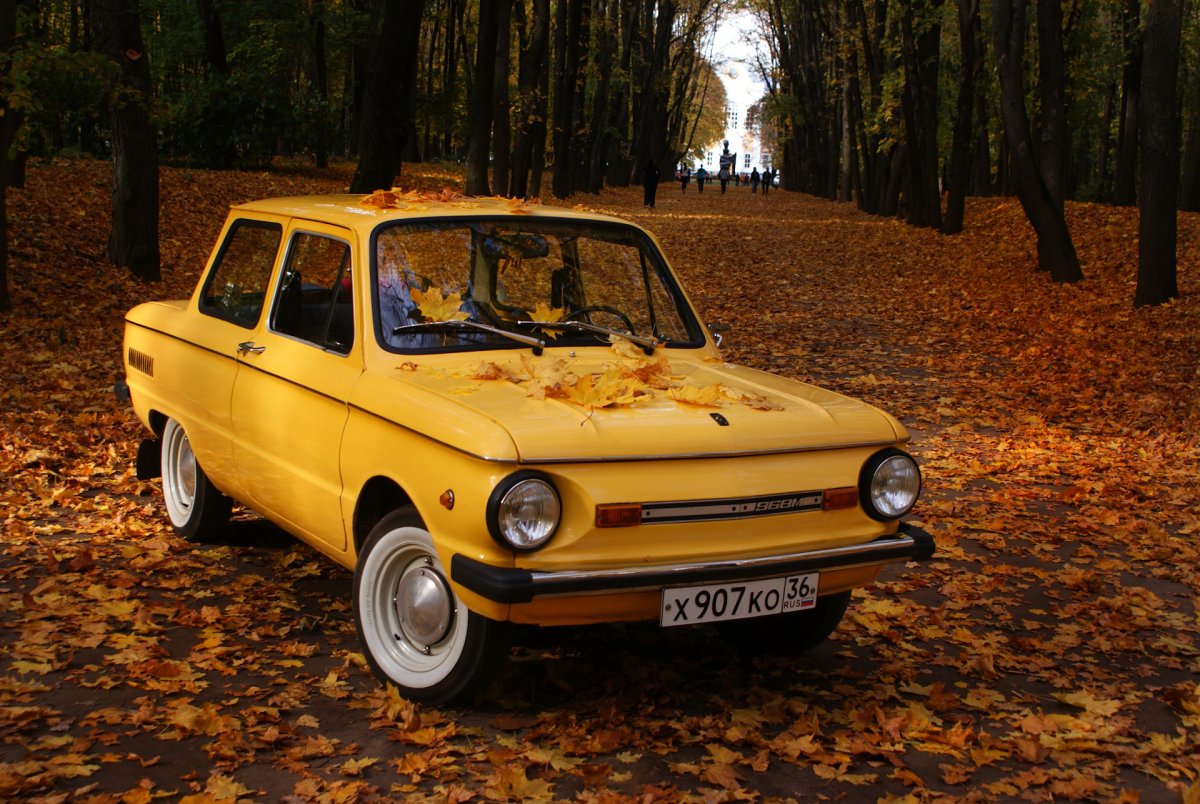 ЗАЗ 965 Запорожец Дубинский Дэвид