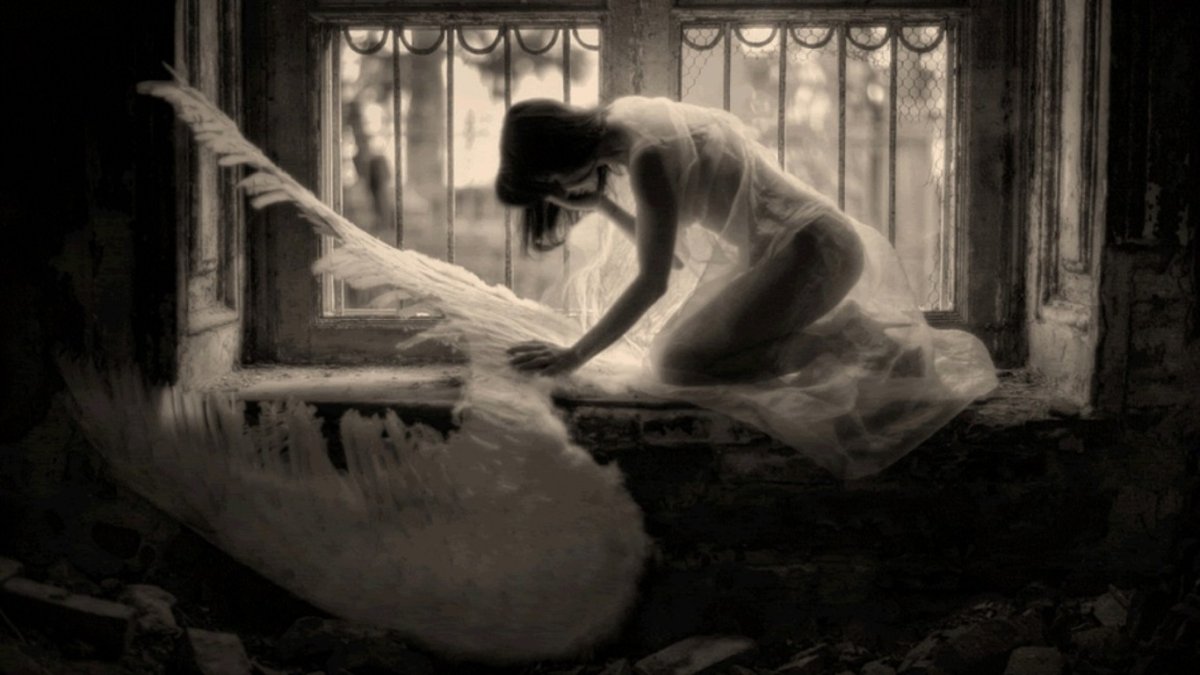 Птица на руке