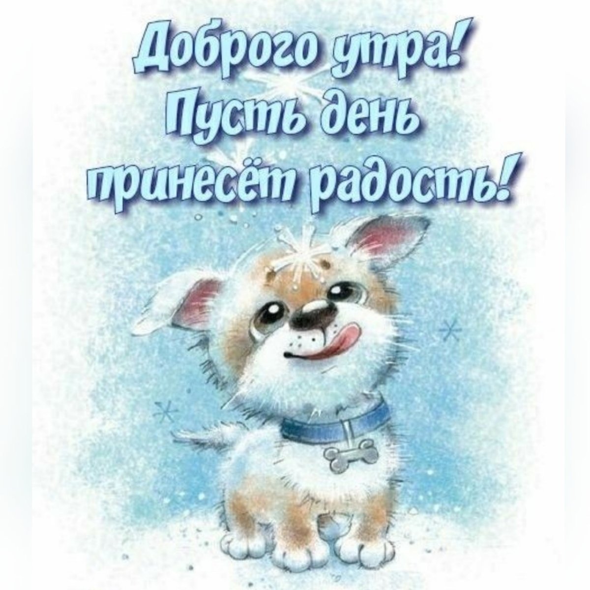 Животные радуются снегу