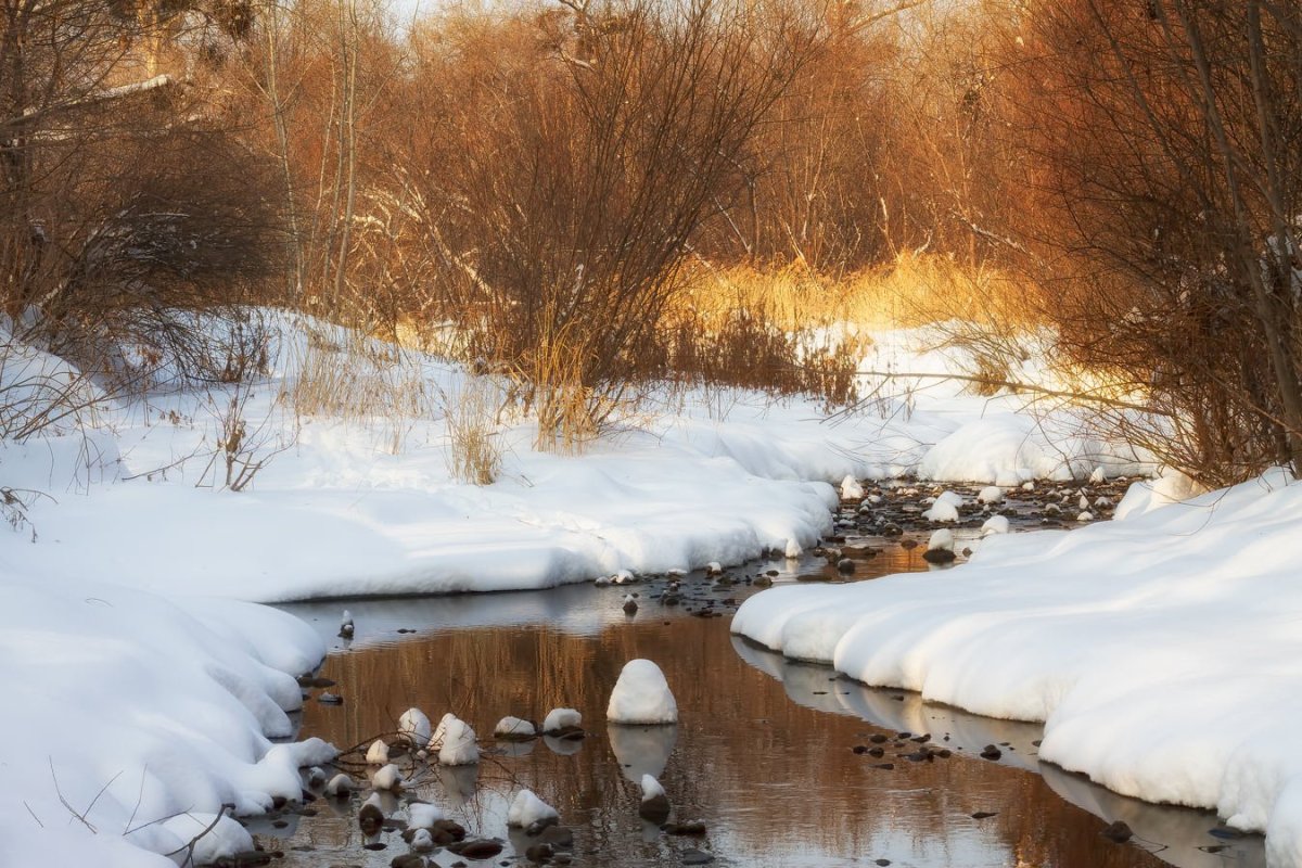 Весна художник Ярослав Зяблов