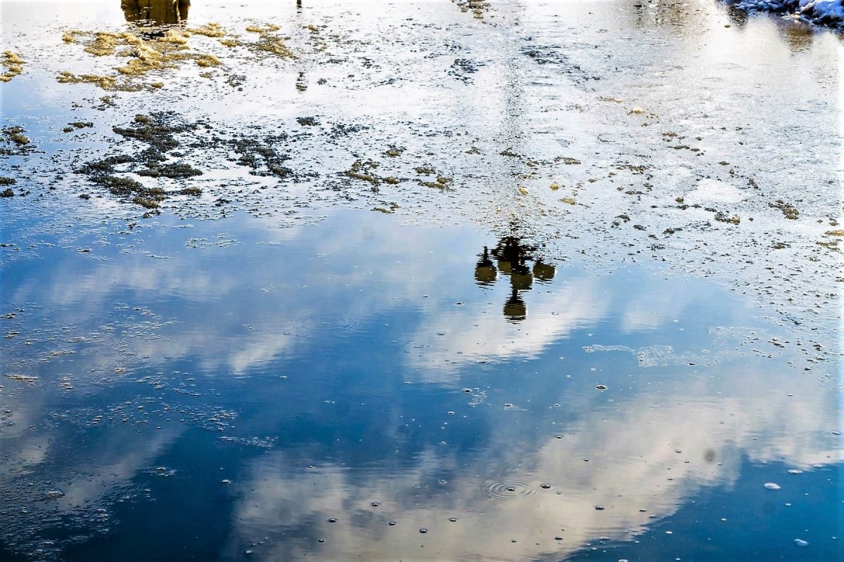 Зимняя река