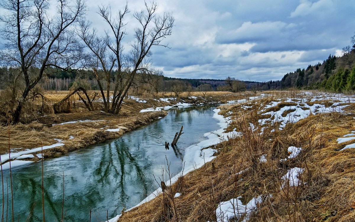 Ранняя Весна