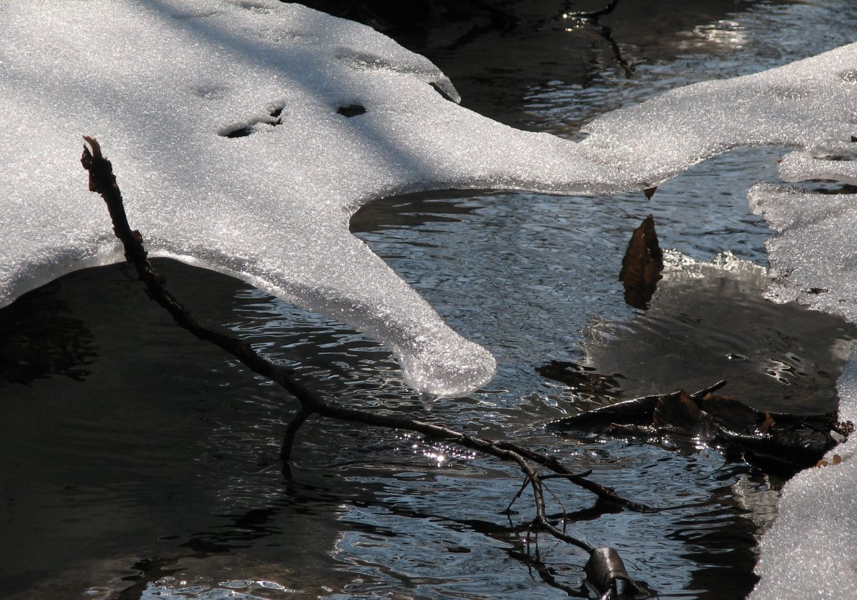Картина Левитана проталины