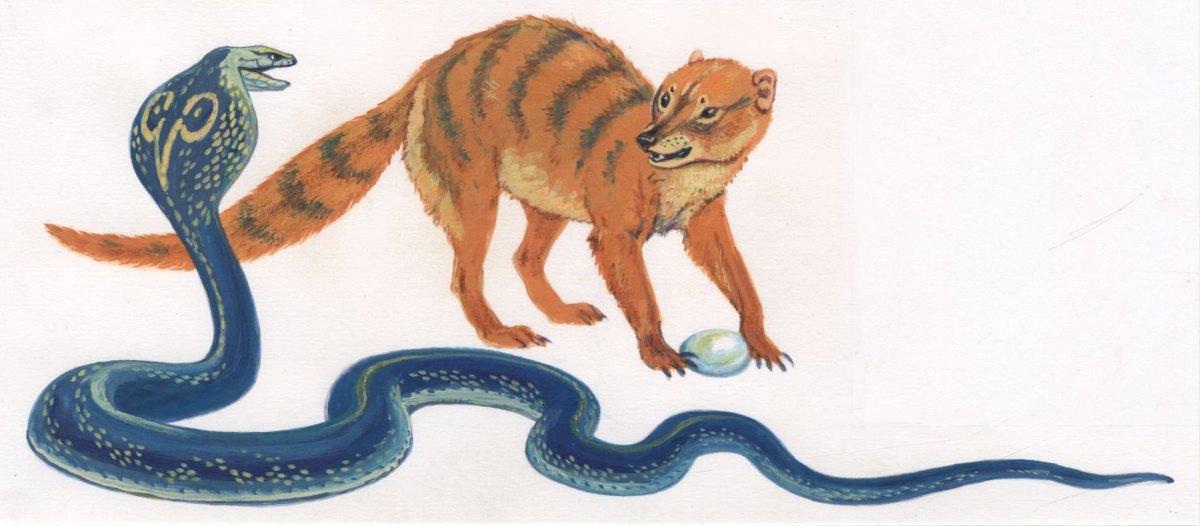 Мангуст Рики Тики Тави