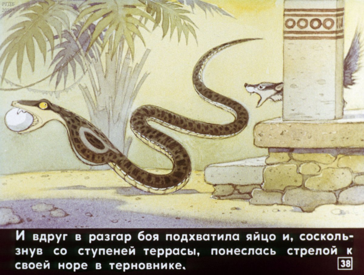 Мангуст из Рикки Тикки