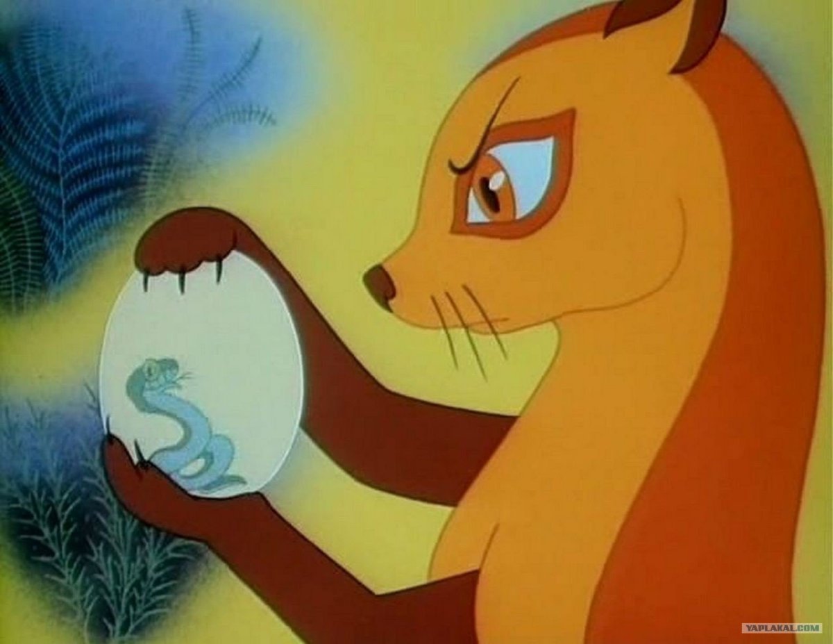 Мангуст Рикки Тикки