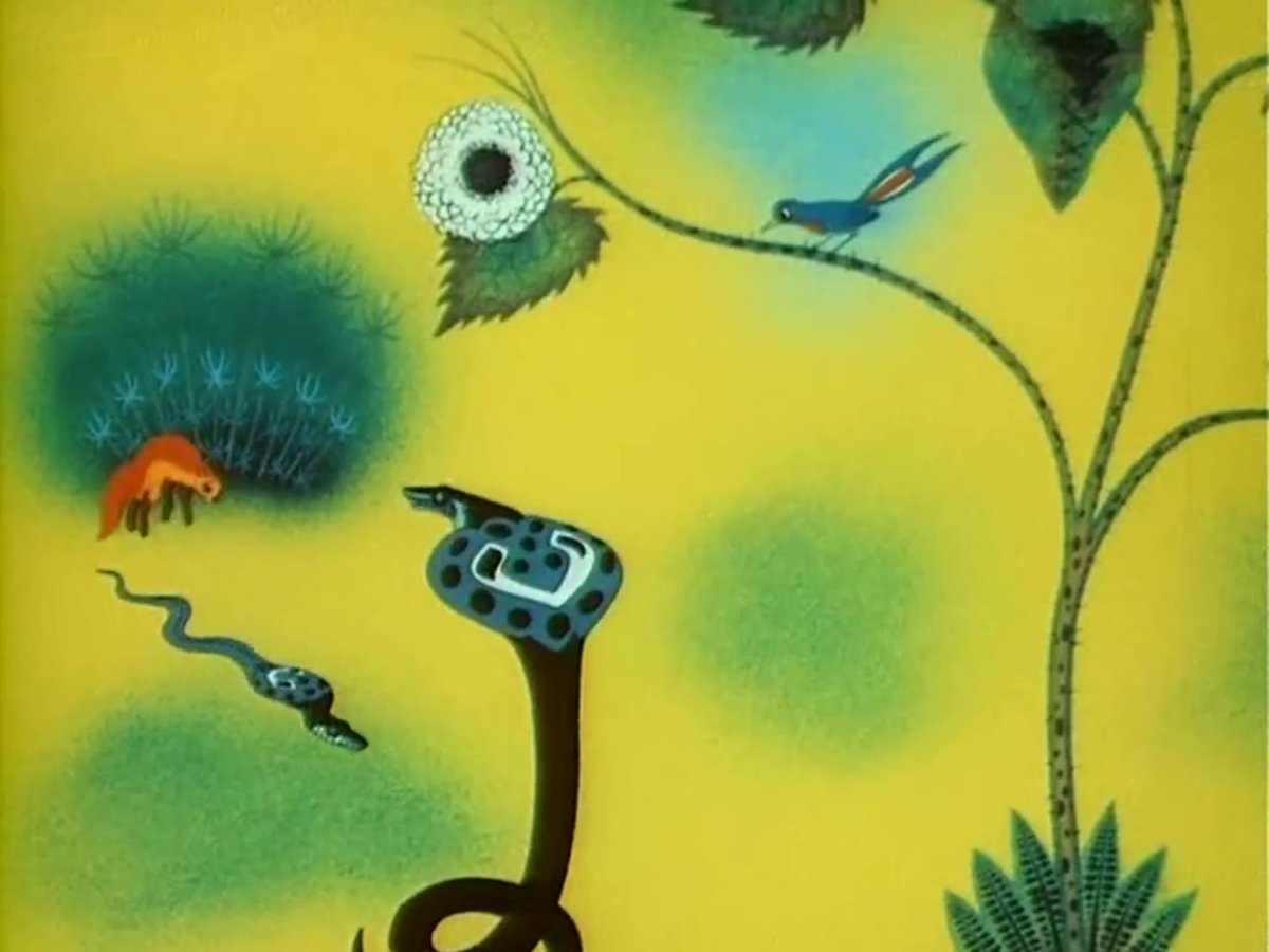 Иллюстрации Рики Тики Тави Владимир Дугин