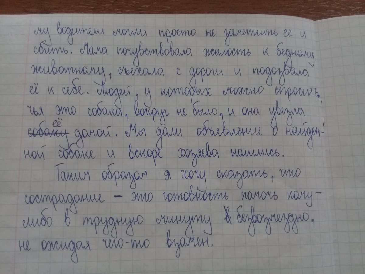 Краткое сочинение на тем