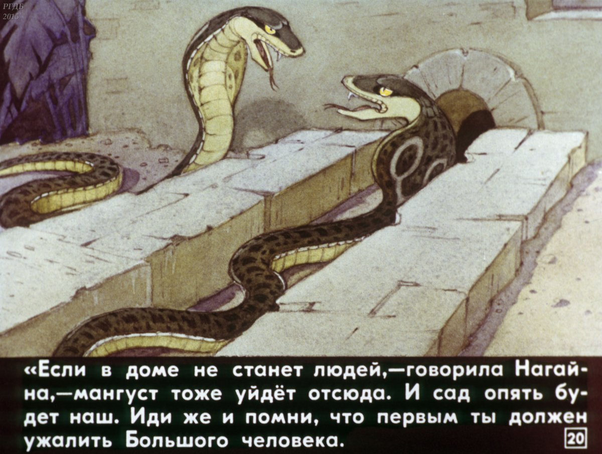 Королевский Мангуст