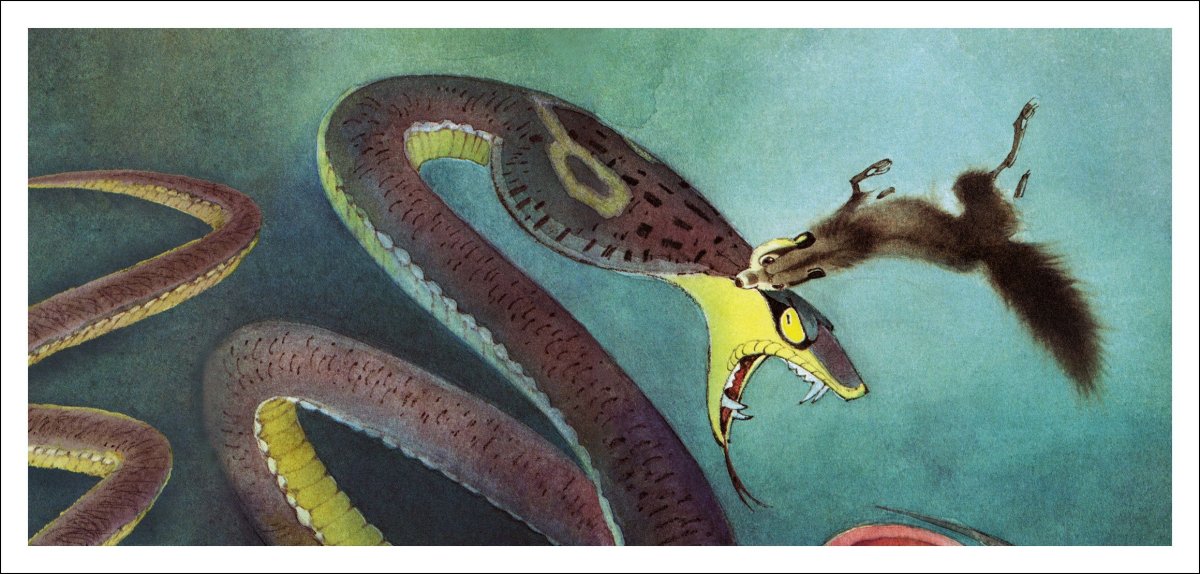 Мангуст Рикки