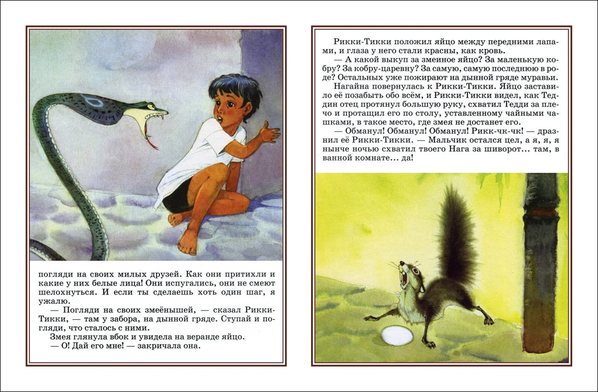 Лысый Мангуст