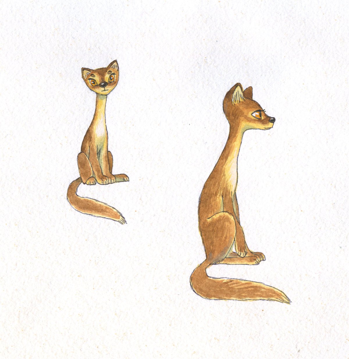 Желтый Мангуст