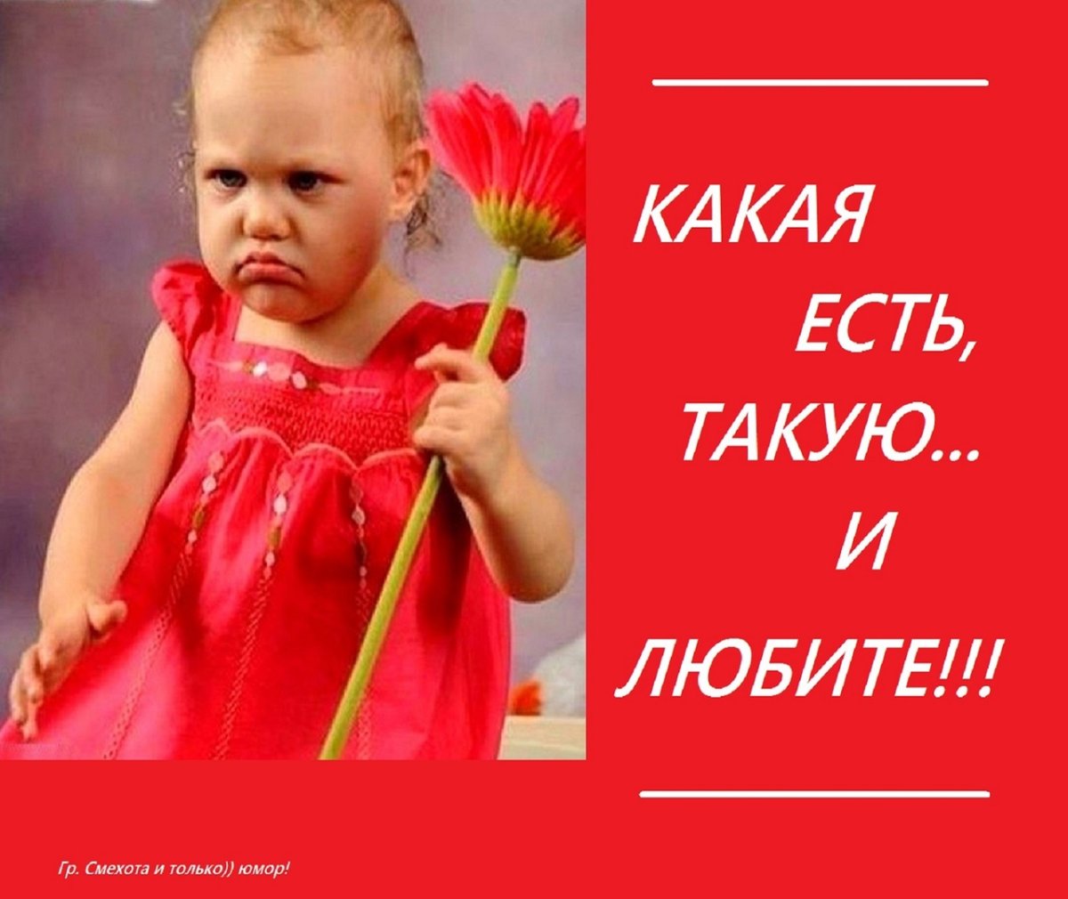 Смехота картинки