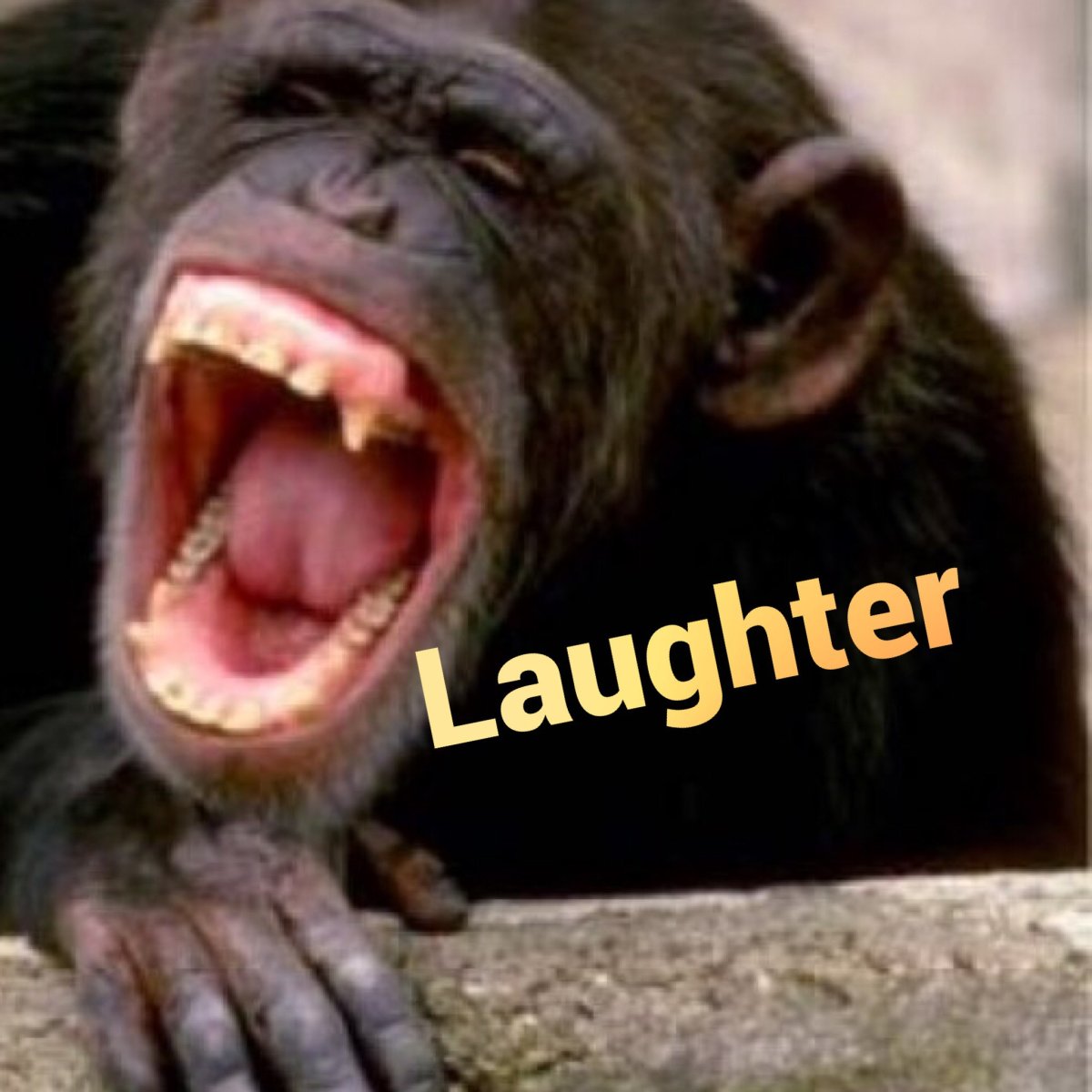 Смайлик смех