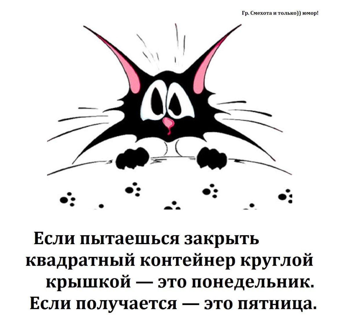 Смехота и только. Юмор в картинках