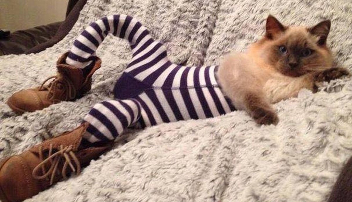 Никита Пятаков