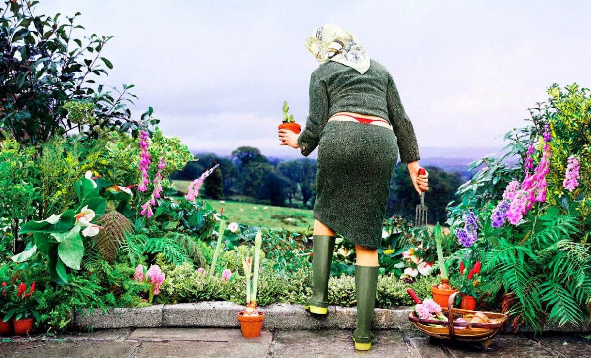 Креативный садовник