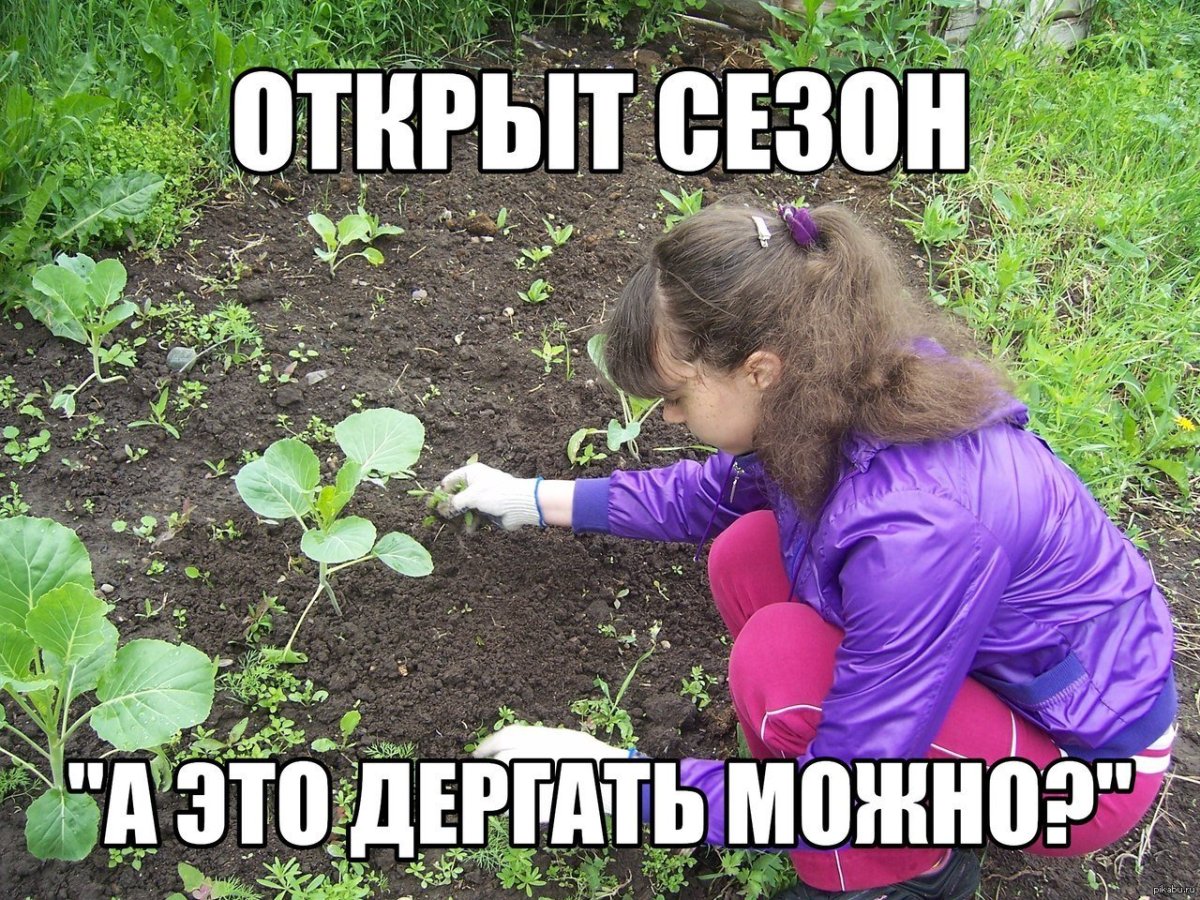 Шутки про сад огород