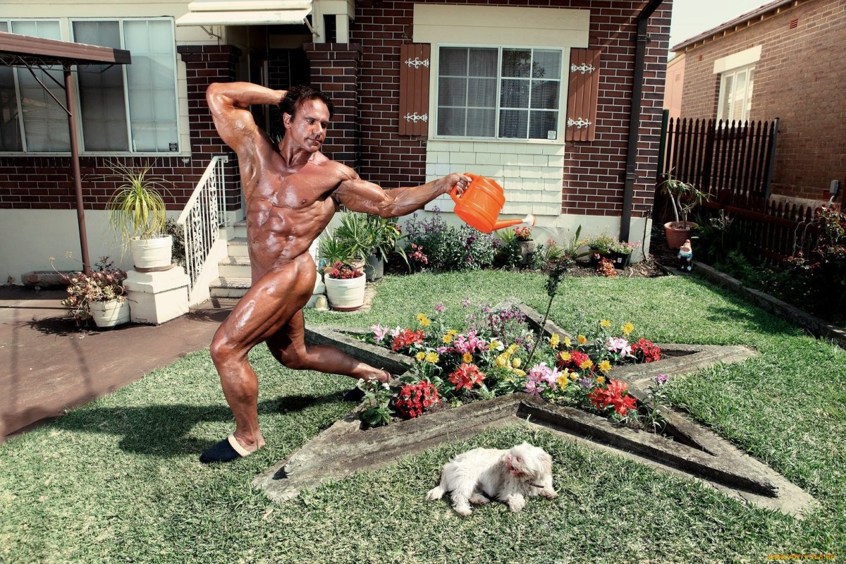 Смешной садовник