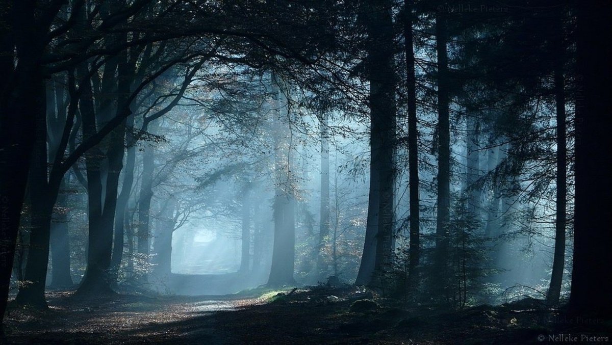 Алессио Альби Alessio Albi