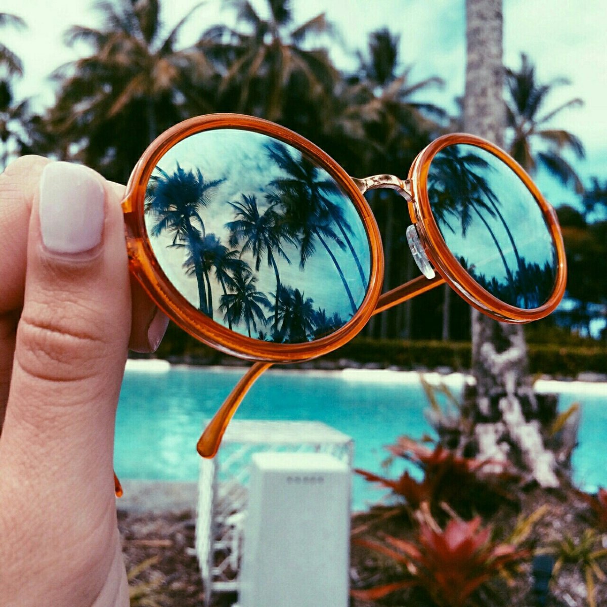 Пальмы и солнцезащитные очки