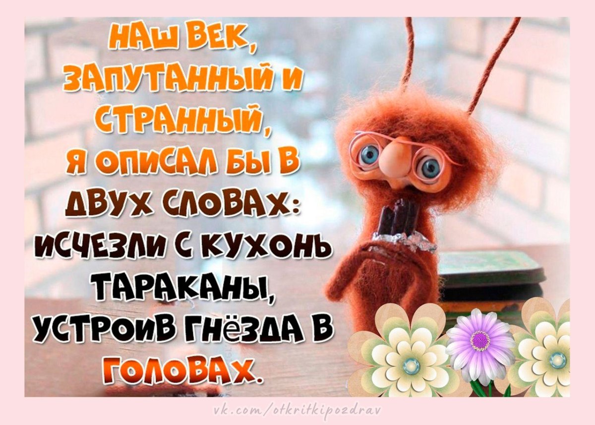 Открытки тараканы в голове