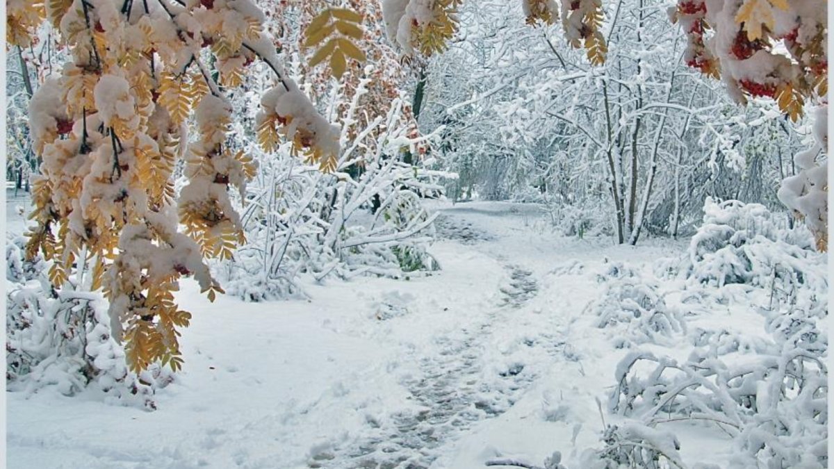 Начало зимы фото красивые