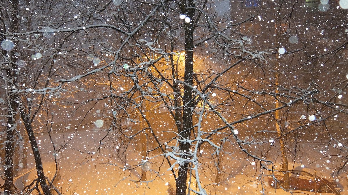 Снег за окном