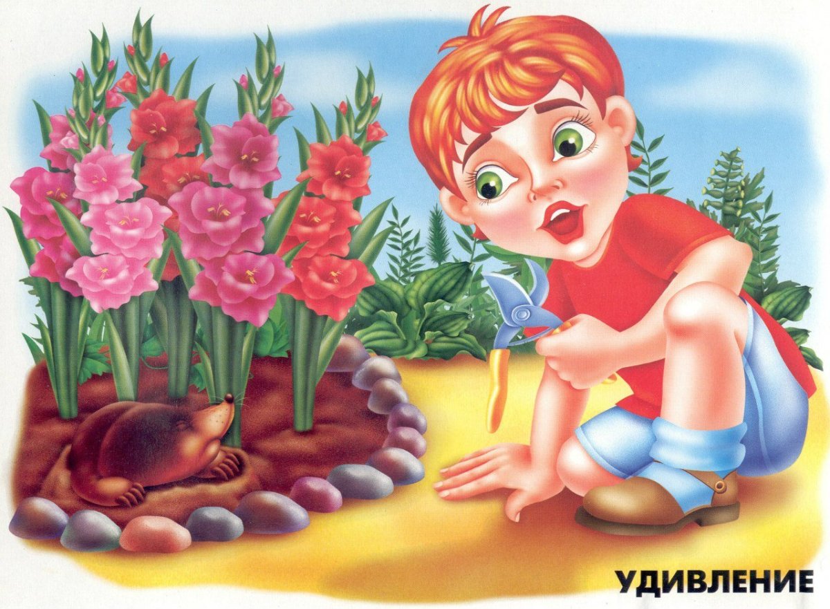 Наши эмоции для дошкольников