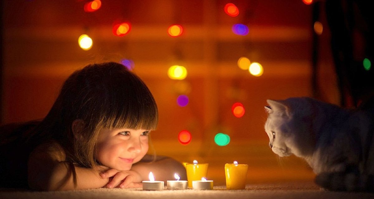 Поздравления с добрым вечером прикольные