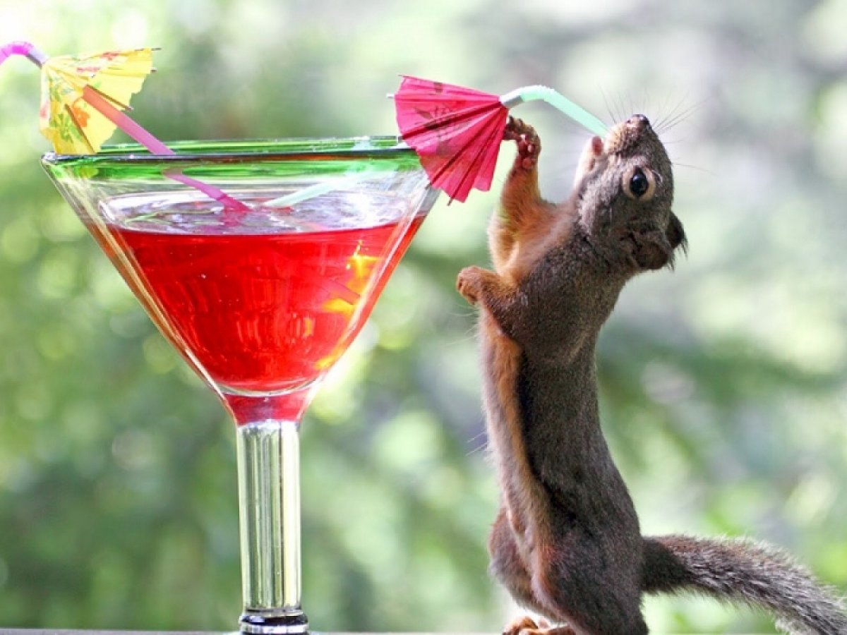 Позитивного вечера