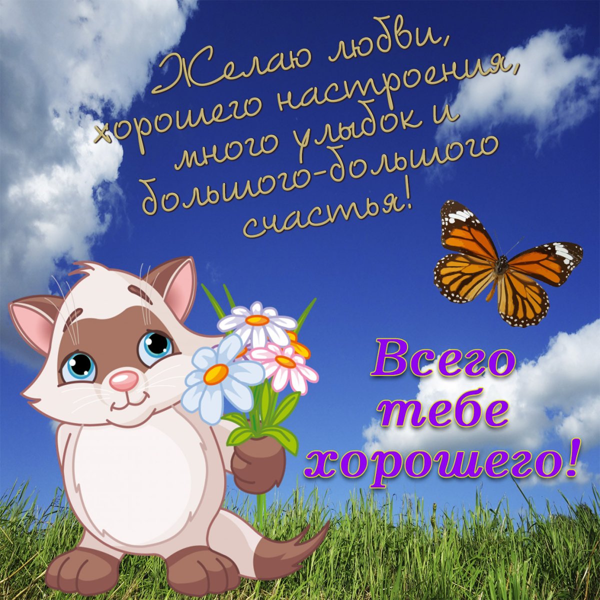 Добрые пожелания