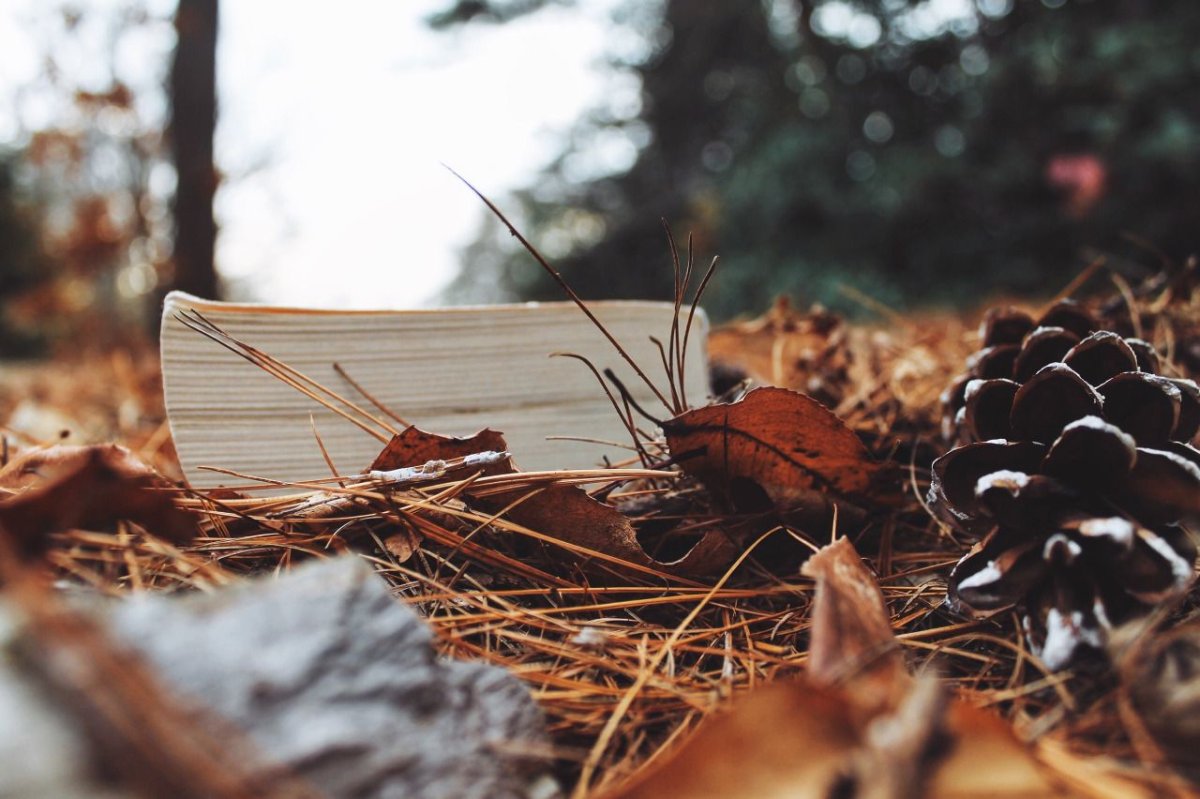 Осеннее Вдохновение