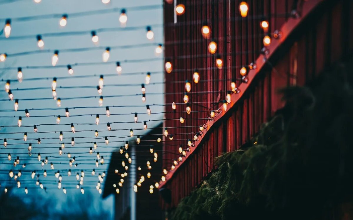 Фон Эстетика