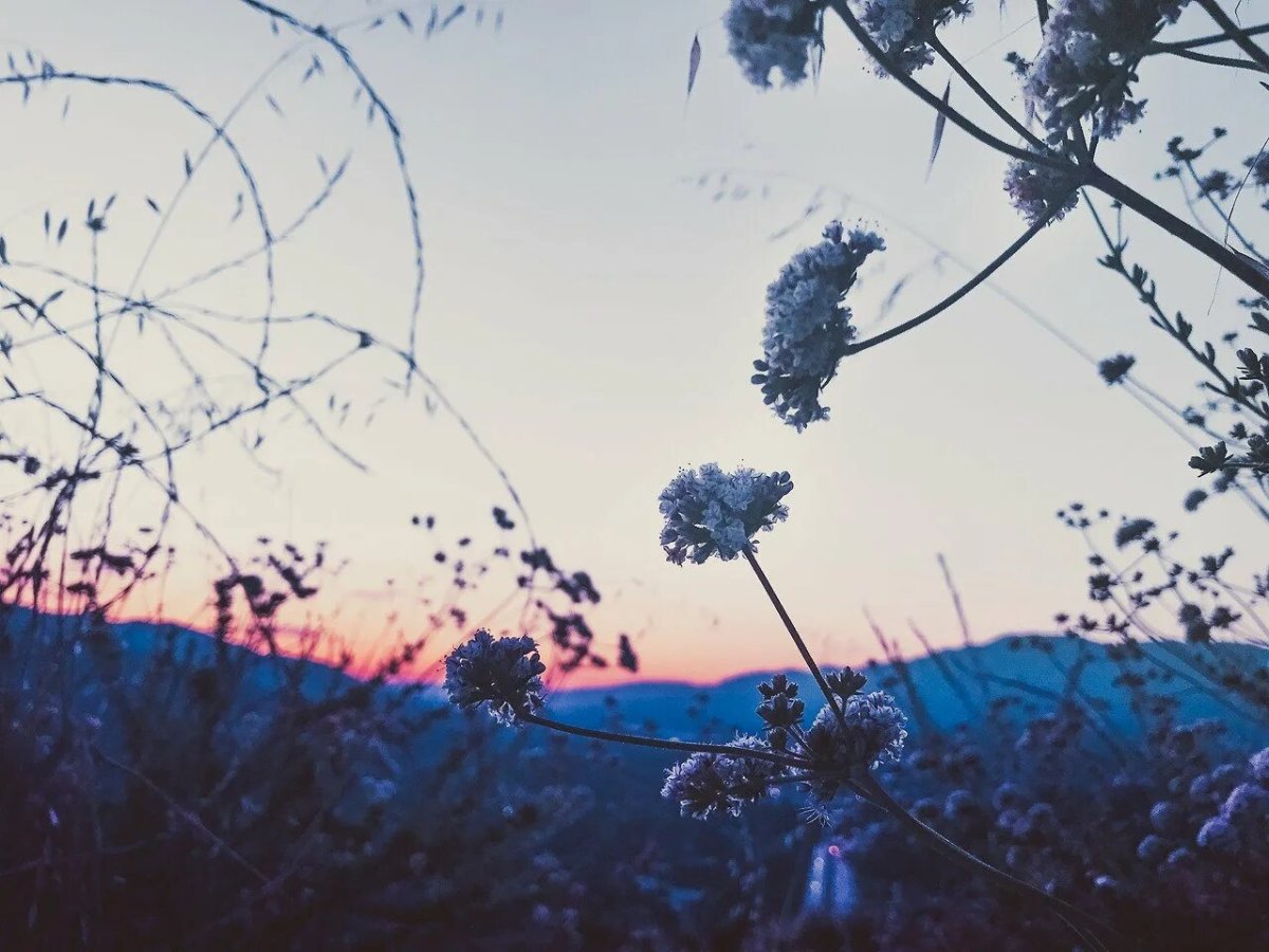 Лето Эстетика