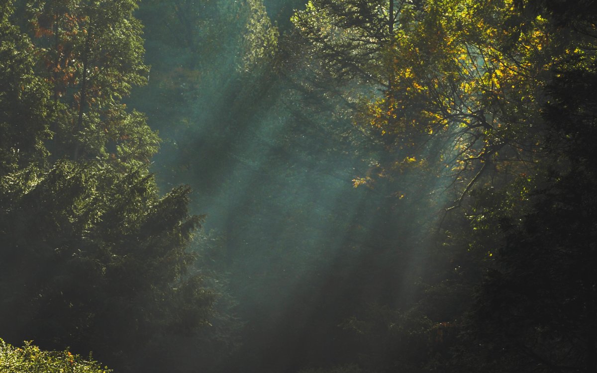 Атмосферный фон