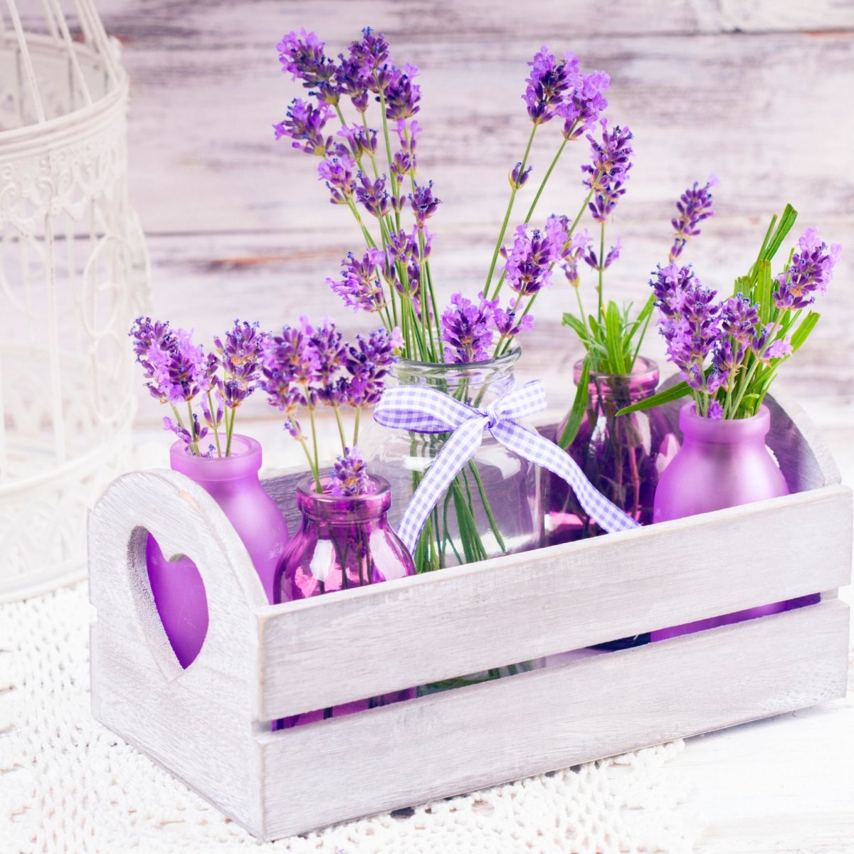 Лаванда на Беккере