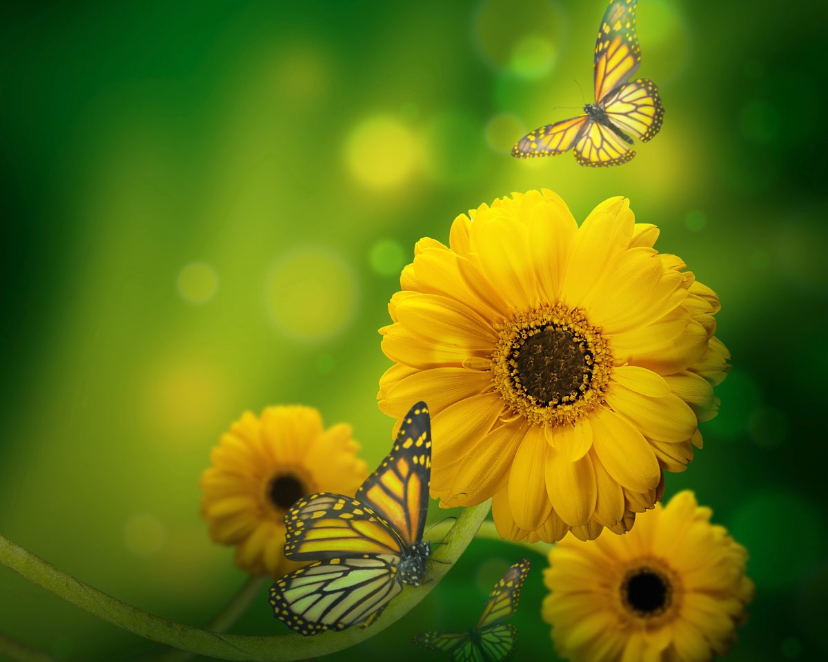 Добрый день суббота