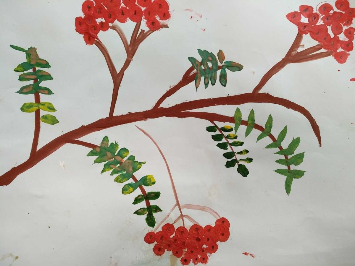 Рябина рисунок