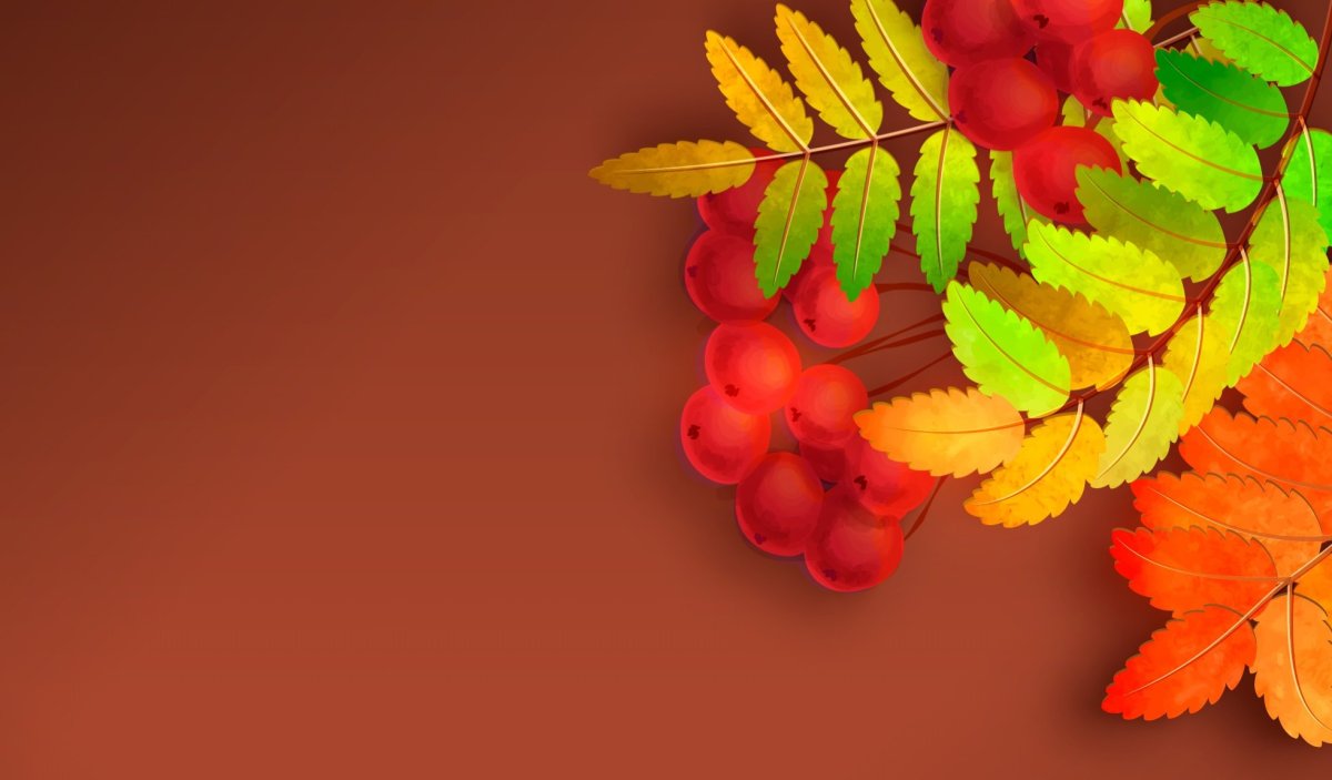 Осенний фон с рябиной