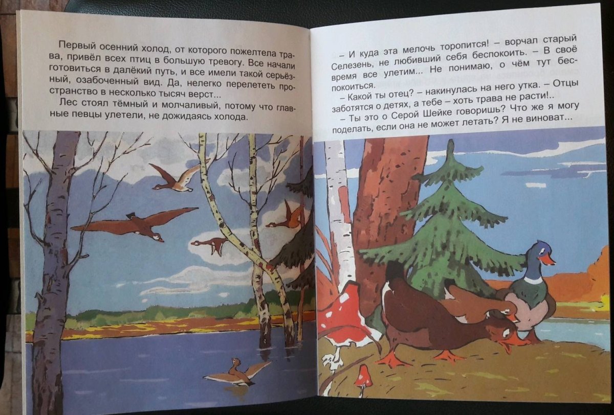 Прочитать сказку серая шейка