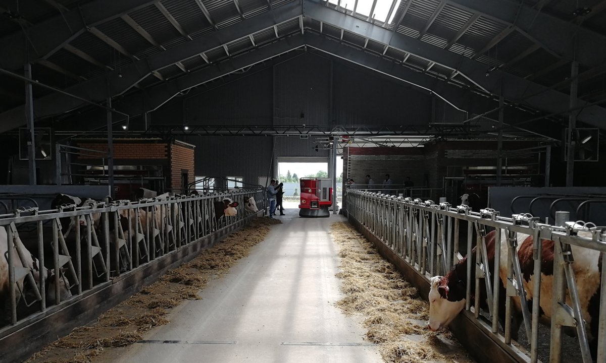 Коровники Lely