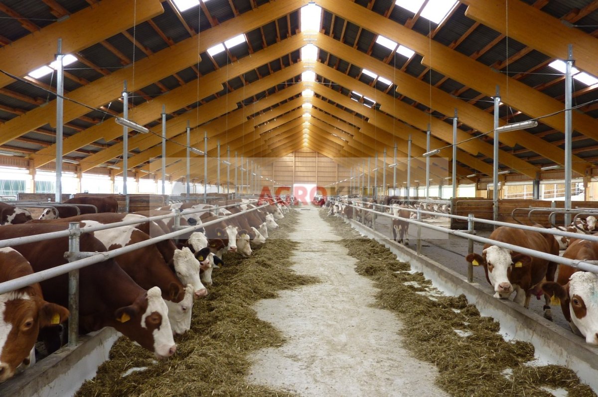 Животноводческая ферма Телятник