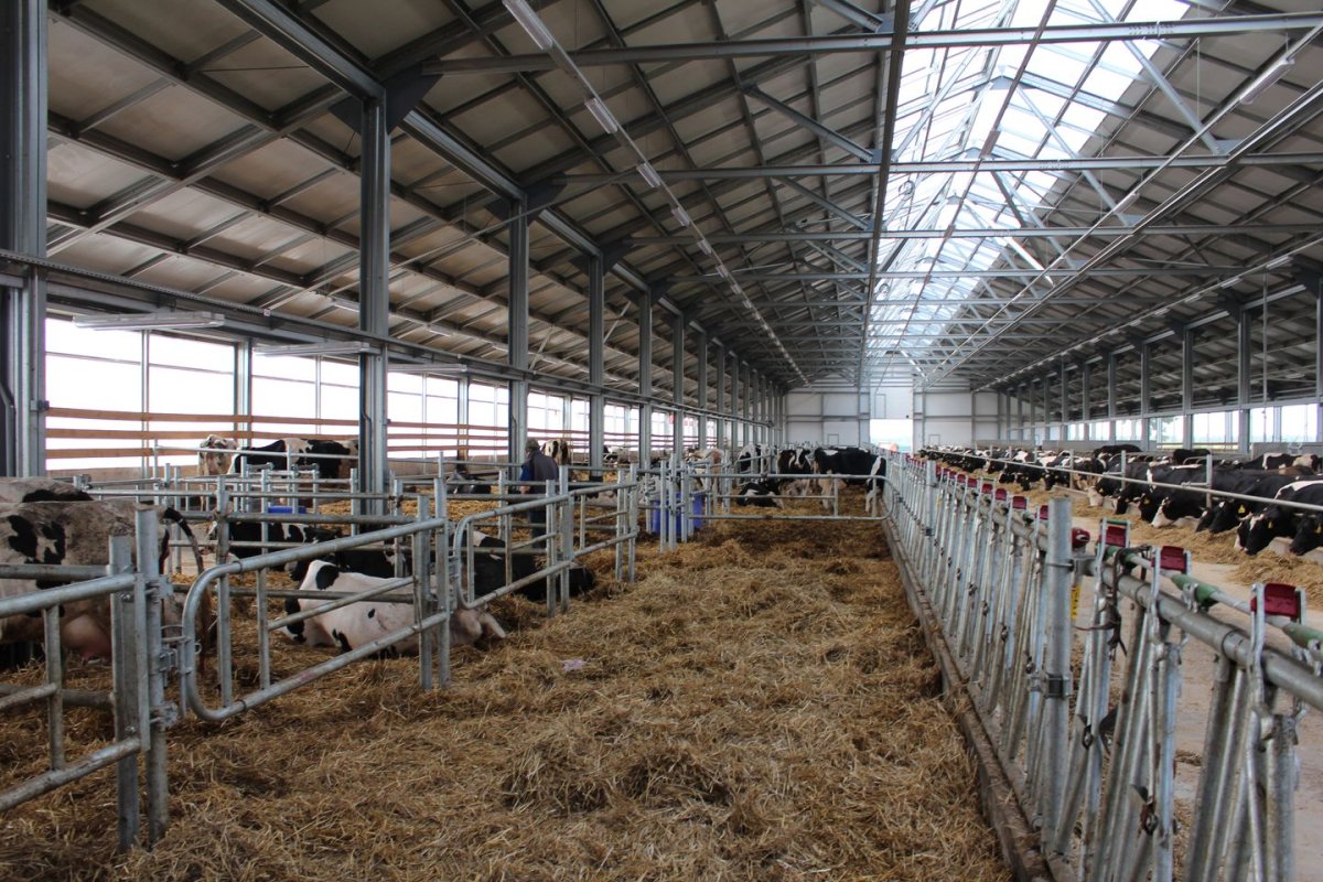 Объекты сельского хозяйства