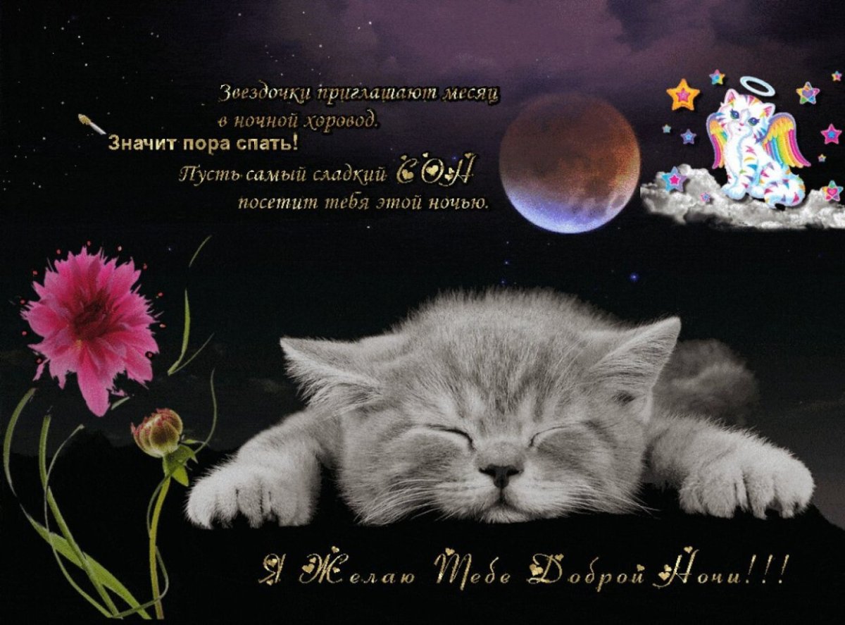 Сладких снов