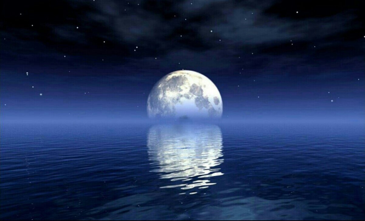 Медвежонок желает спокойной ночи