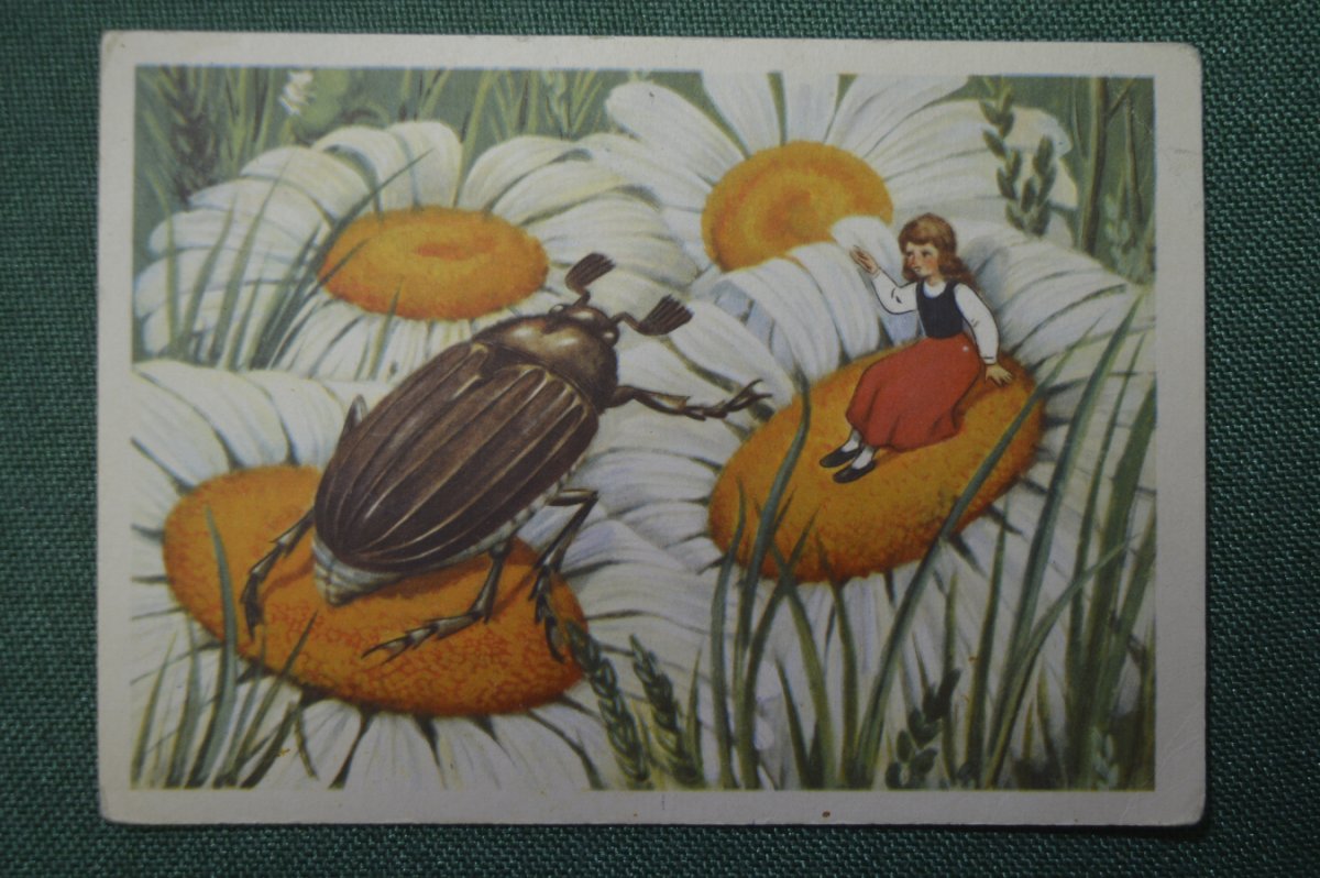 Майский Жук Дюймовочка