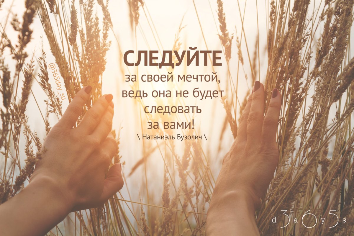 Следуй своей мечте