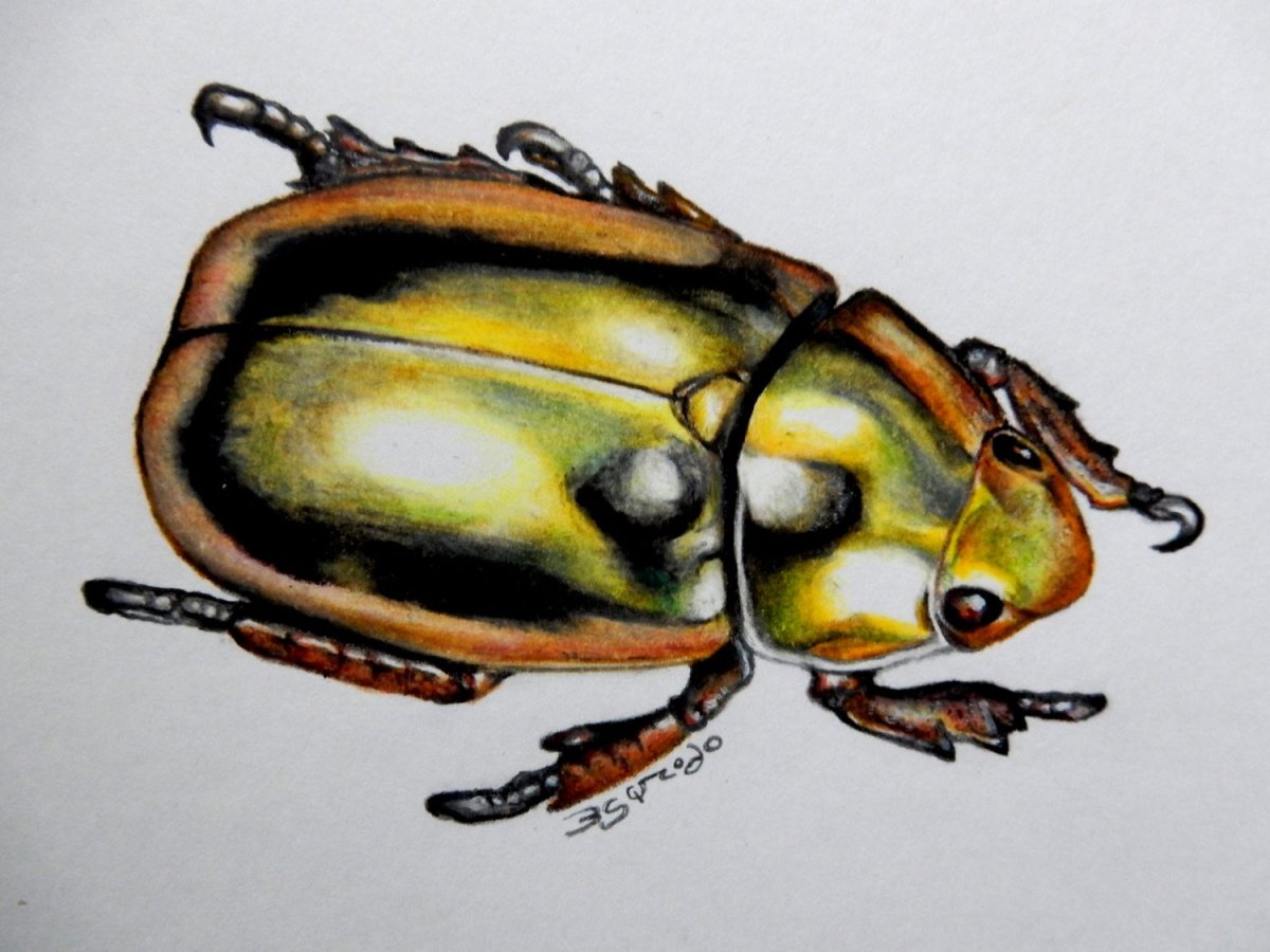 Thumbelina Дисней жаба