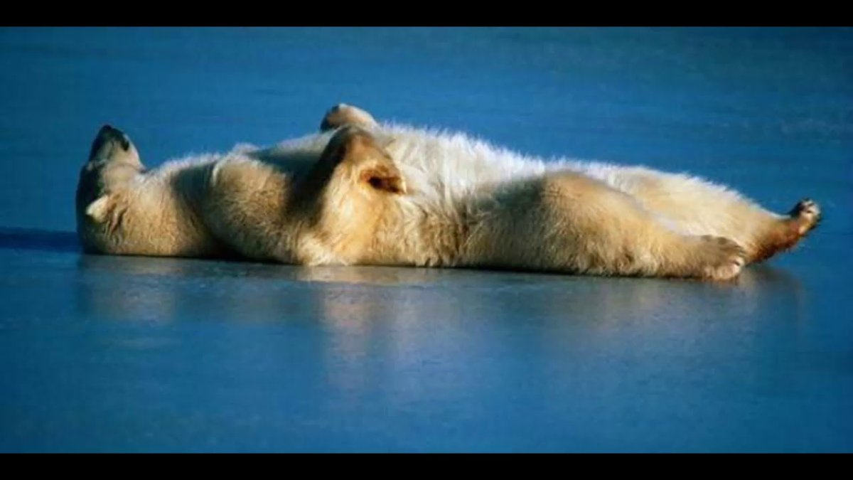 Открытки спокойной ночи